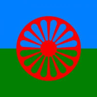 العلم الرسمي للغجر - الغجر