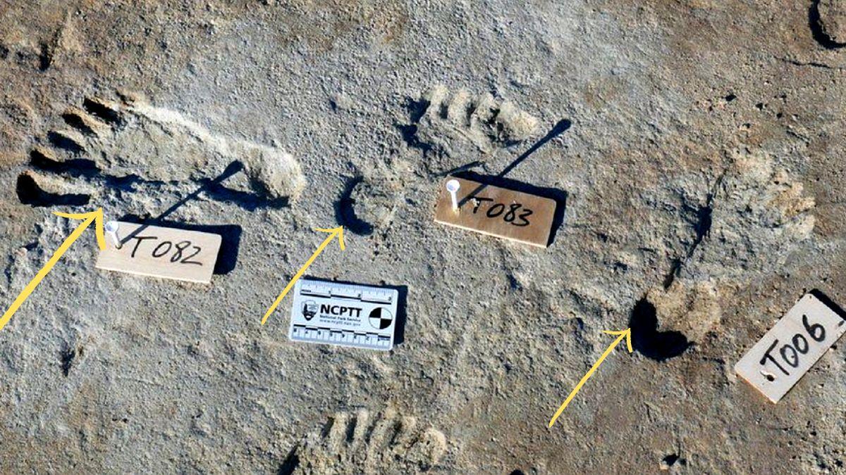 آثار أقدام تشير إلى وصول البشر إلى الأمريكتين أبكر مما كنا نعتقد!