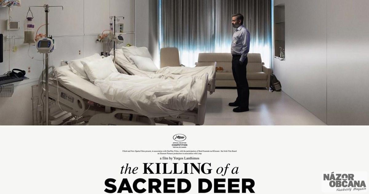 Killing of a sacred deer - أفلام رعب الهالوين