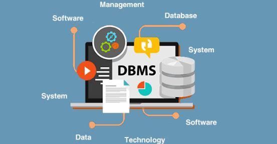 ما الفرق بين قواعد البيانات وأنظمة إدارة قواعد البيانات؟