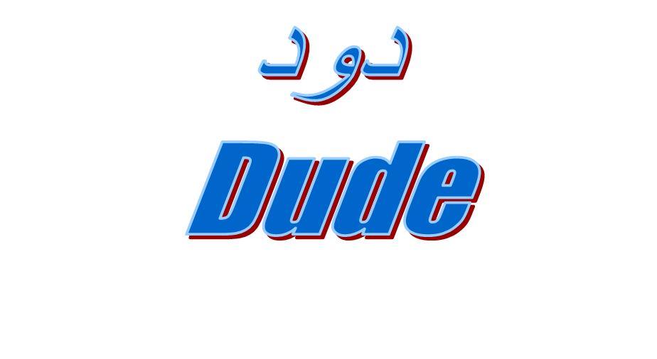 ما المقصود بكلمة دود Dude هل لها ترجمة للعربية؟