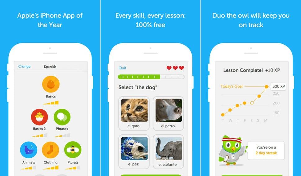 تطبيق Duolingo - تطبيقات التعليم