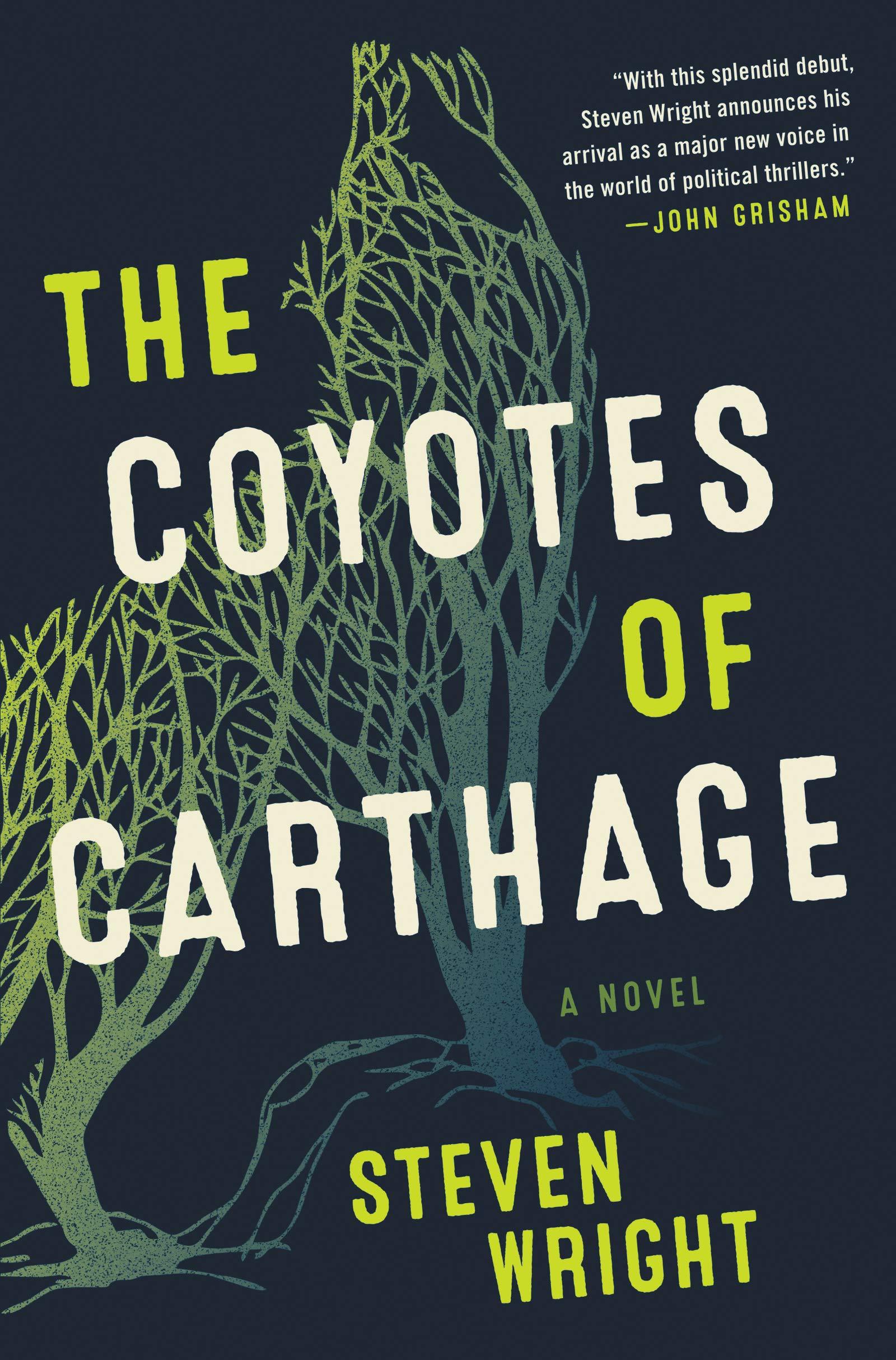رواية "The Coyotes of Carthage" من أفضل روايات الجريمة والغموض في 2020