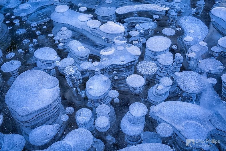 Frozen air bubbles in Abraham Lake 7 أشياء رائعة في الطبيعة لا تتخيل وجودها !