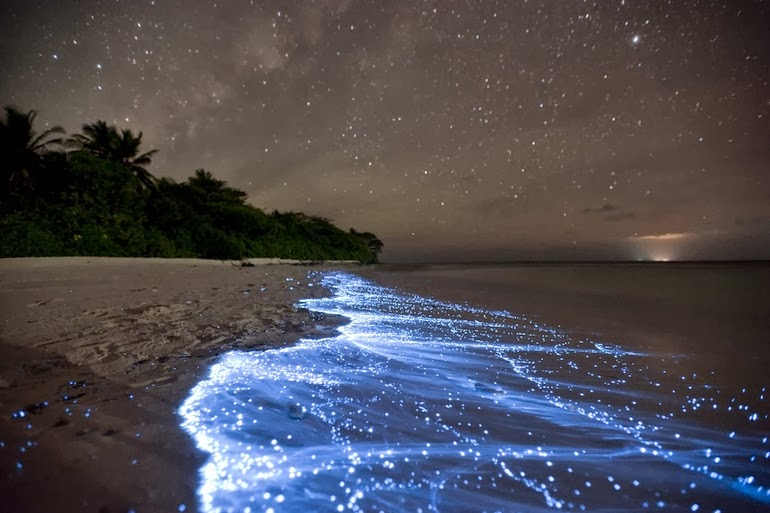 Shimmering shores of Vaadhoo Maldives 7 أشياء رائعة في الطبيعة لا تتخيل وجودها !