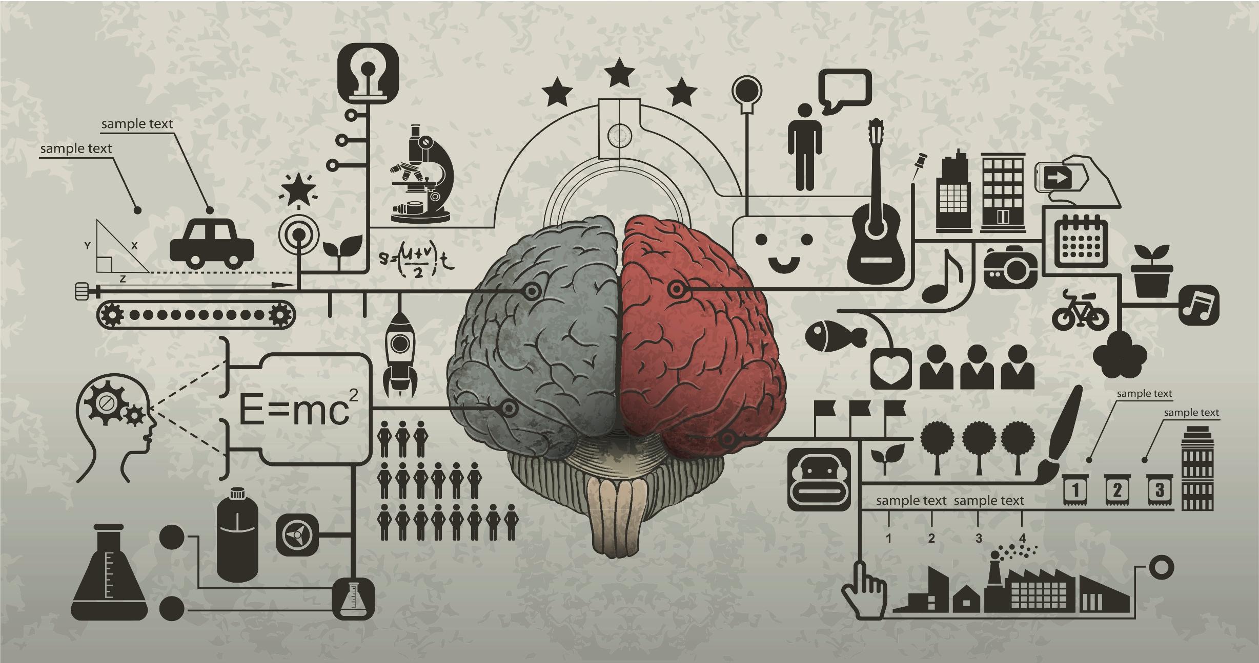 تمارين تقوي ذاكرتك - Brain Map