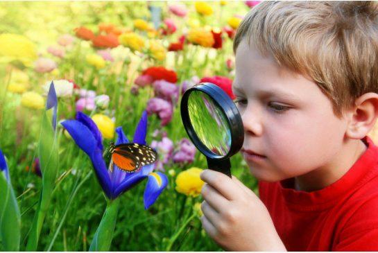 7 سمات يتحلى بها المبدعين، هل لديك أي منها؟ 7
