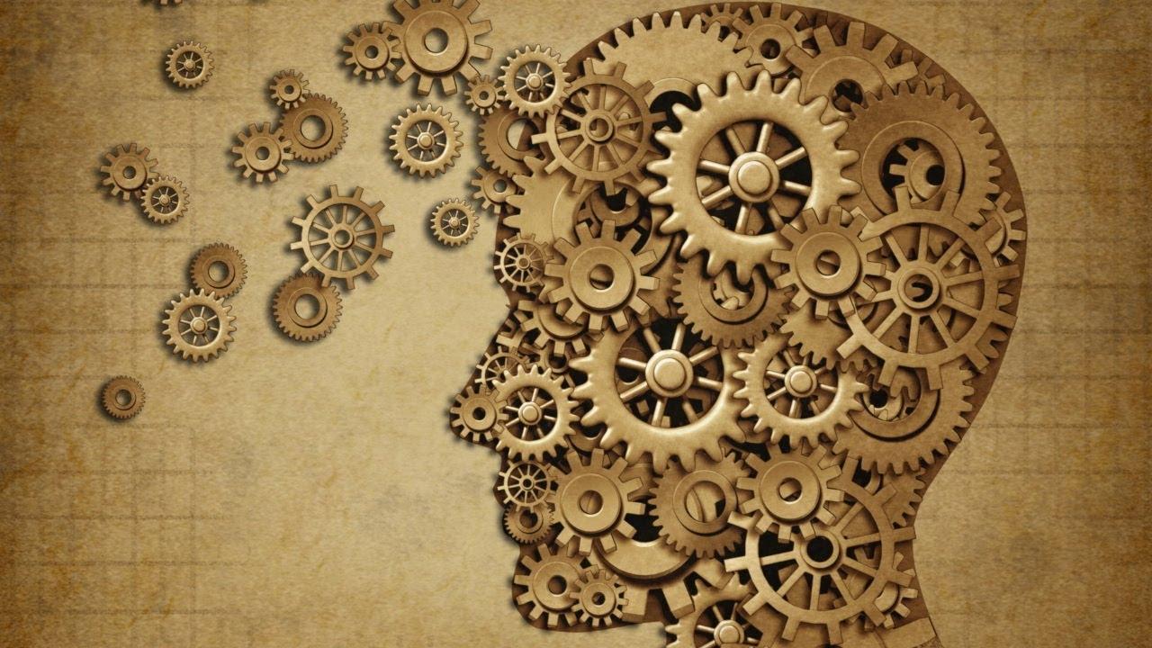 عمليات تشكل الذاكرة واستعادتها في أدمغتنا 1