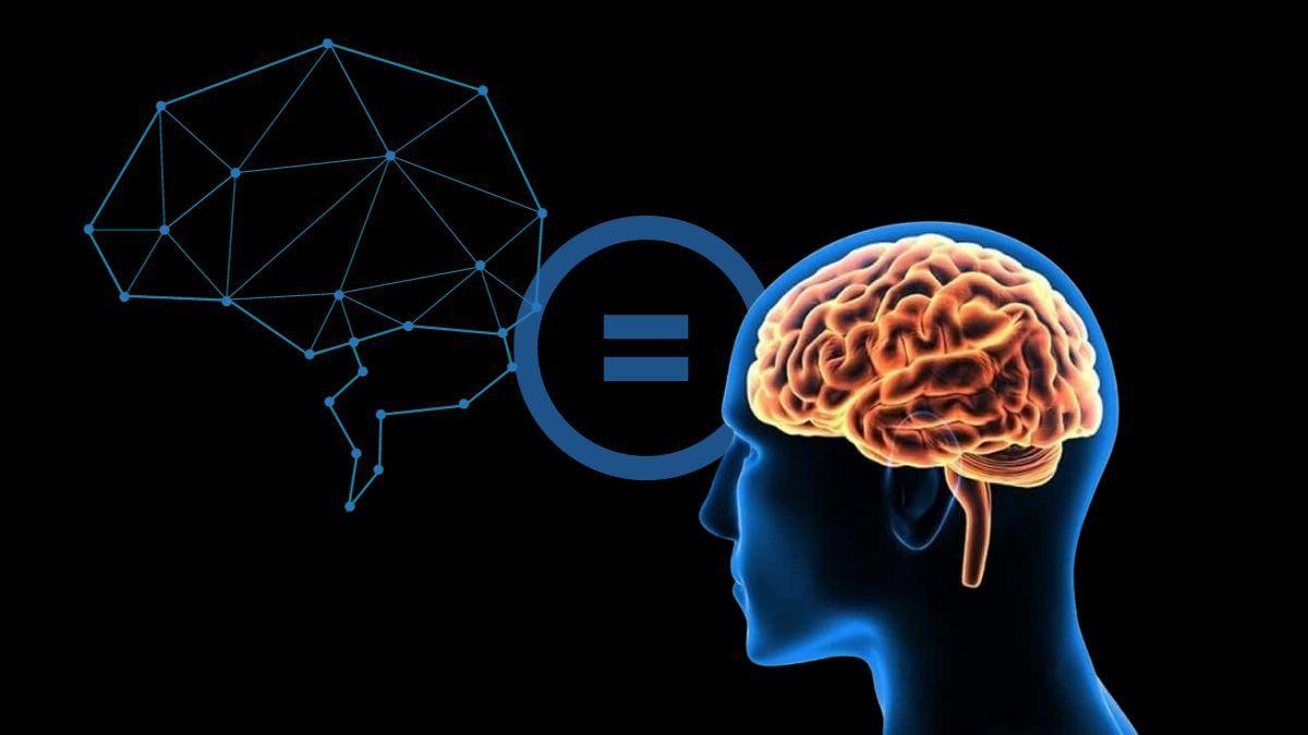 ذكاء اصطناعي يتعلم ويتذكر مثل البشر!! دراسة جديدة توضح تشابه طريقة عمل أنظمة الذكاء الاصطناعي مع الدماغ البشري