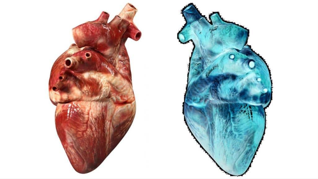 حوسبة الحمض النووي