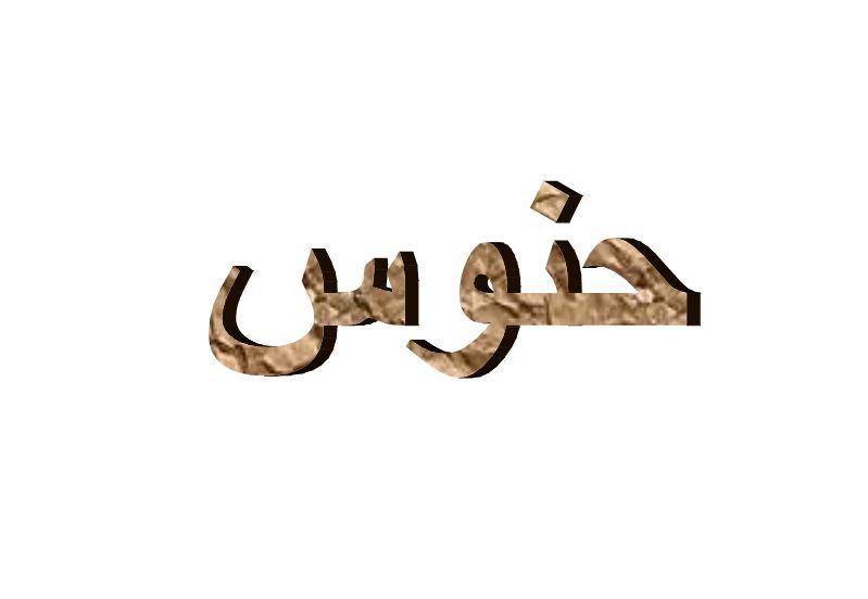 ما معنى حنوس في اللهجة السعودية؟