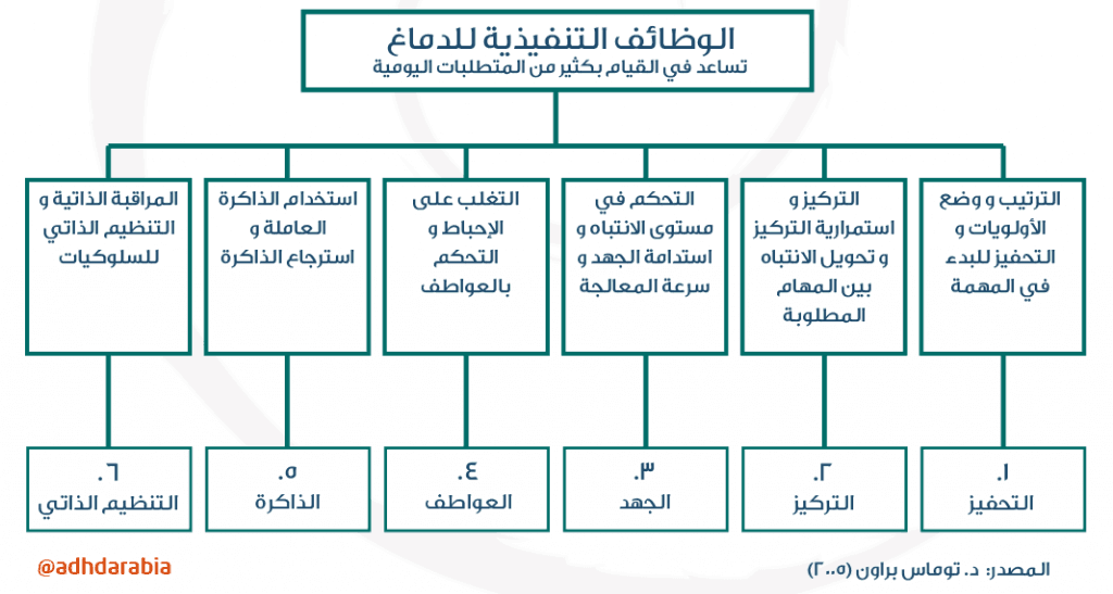 وظائف الدماغ التنفيذية