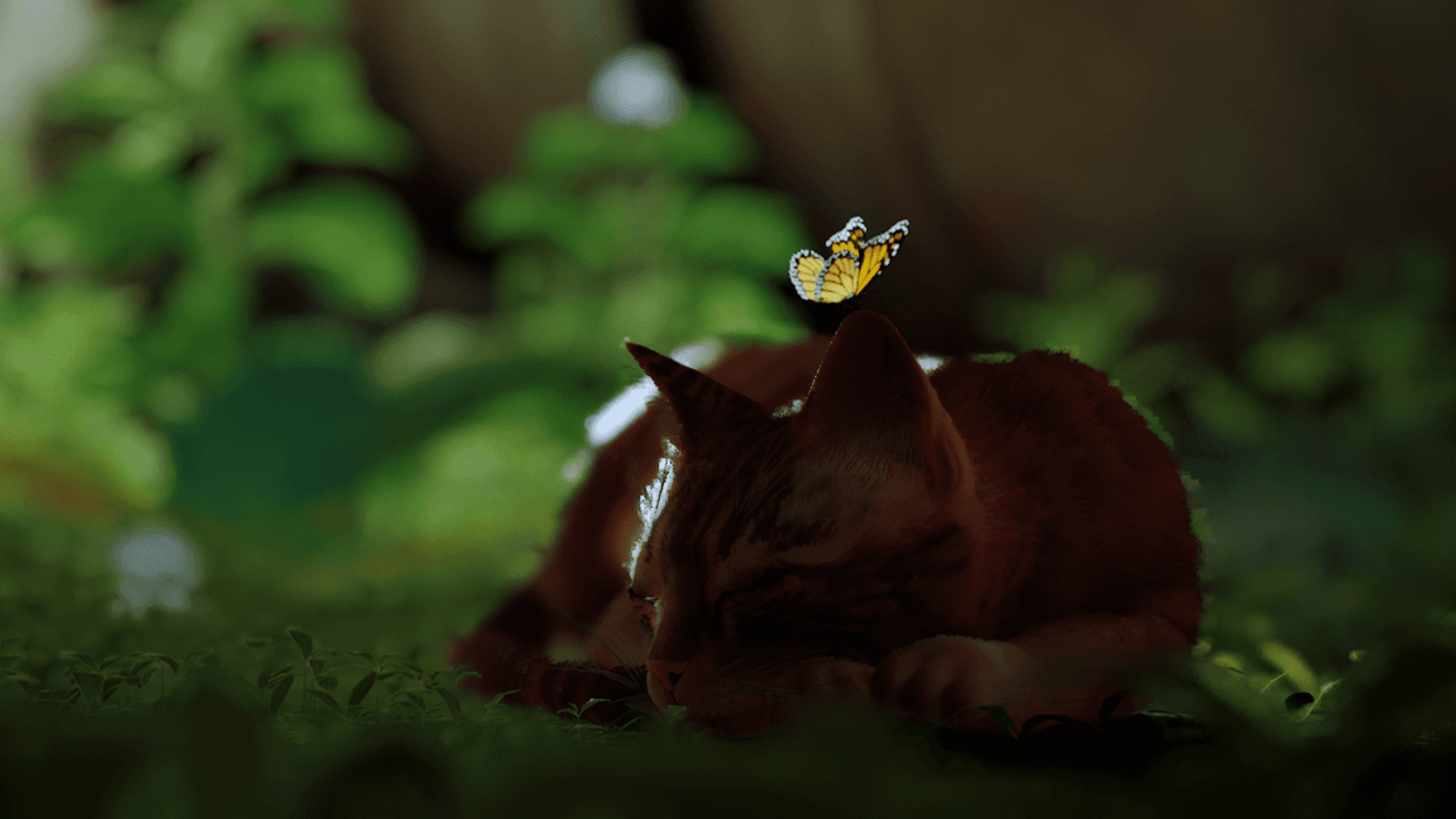 مراجعة لعبة Stray