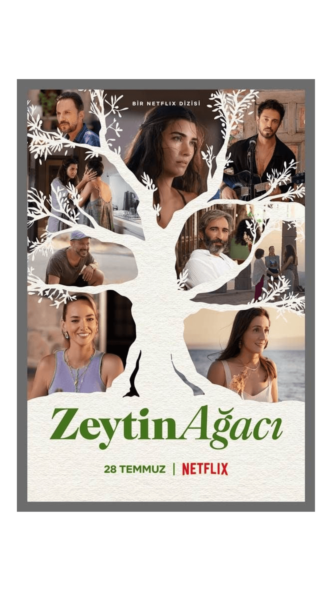 Zeytin Ağacı ذات أخرى