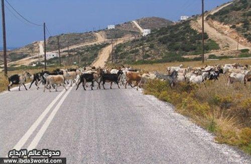 طريق باتيوباولو -بريديكاكي - اليونان