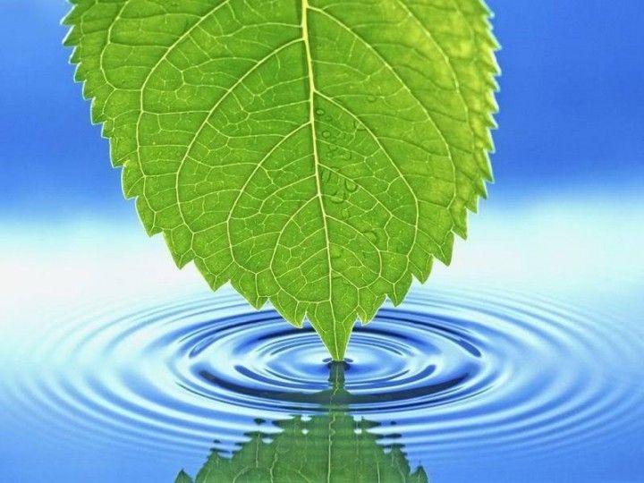 فوائد التفاح 