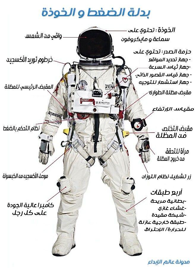 فليكس