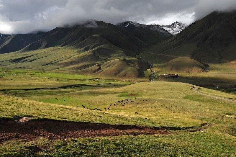 دولة قرغيزستان