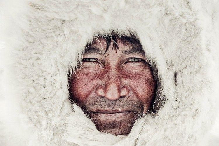 nenet-8