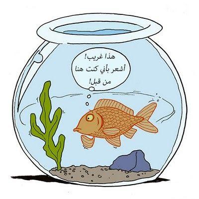 image003