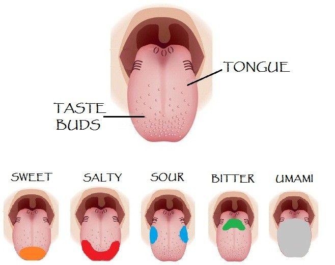 حقائق خاطئة 