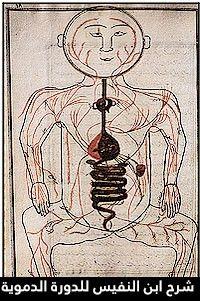 blood-cercular