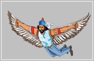 الطيران 