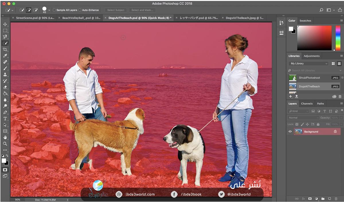 أدوبي سينساي Adobe Sensei