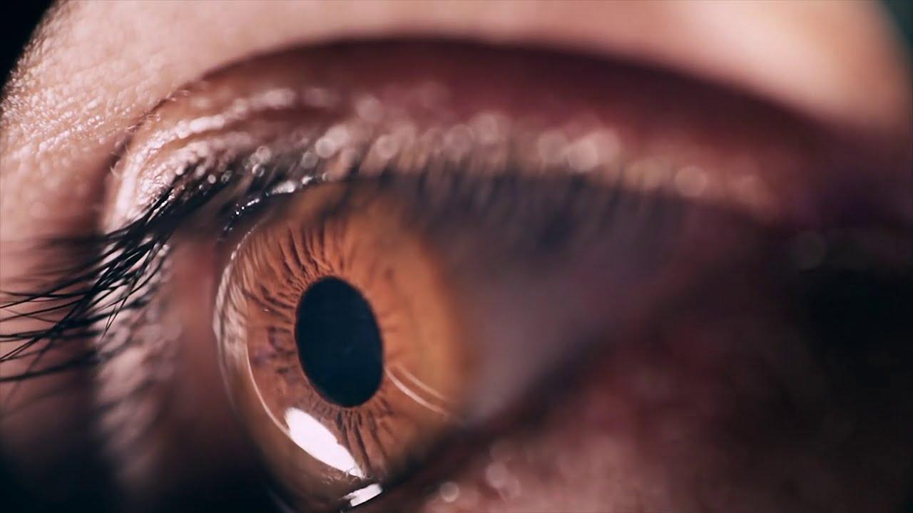 حقائق علمية عن الإنسان