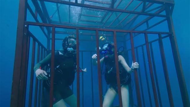 صورة فيلم 47 Meters Down