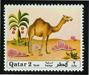 17 قطر