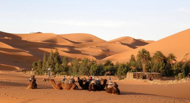  Mazroca Moroco