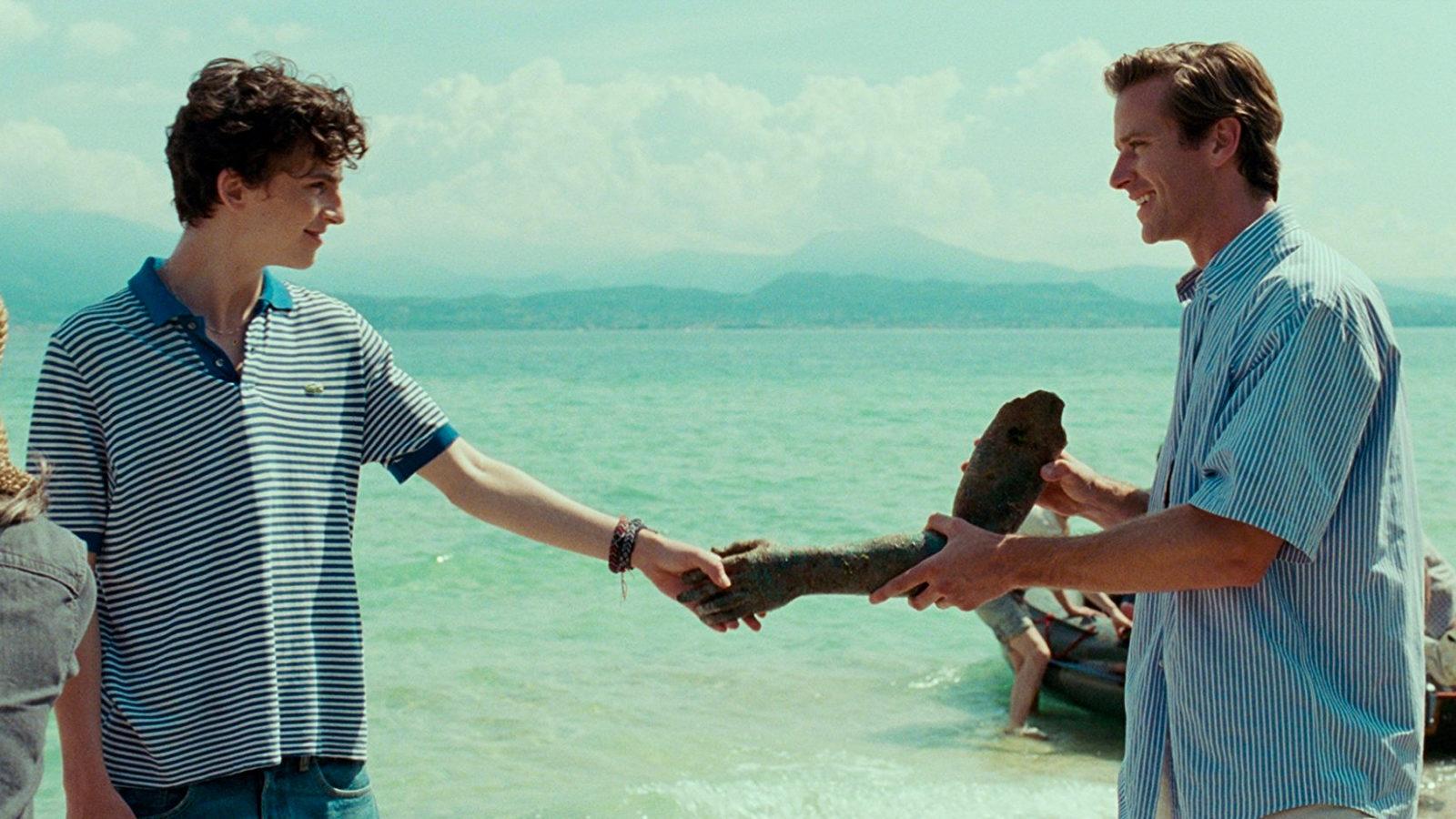 تيموثي شالامي وارمي هامر فيلم call me by your name