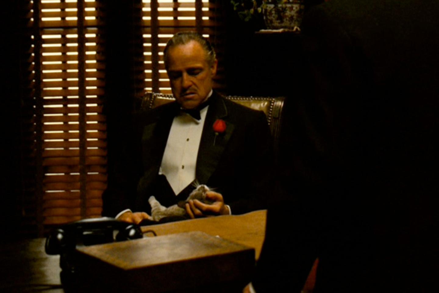 حقائق عن فيلم العرّاب - The Godfather - العرّاب والقط