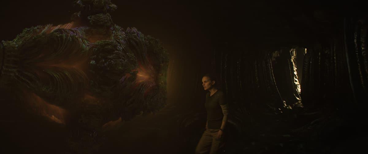 مشهد "الوميض" من فيلم Annihilation