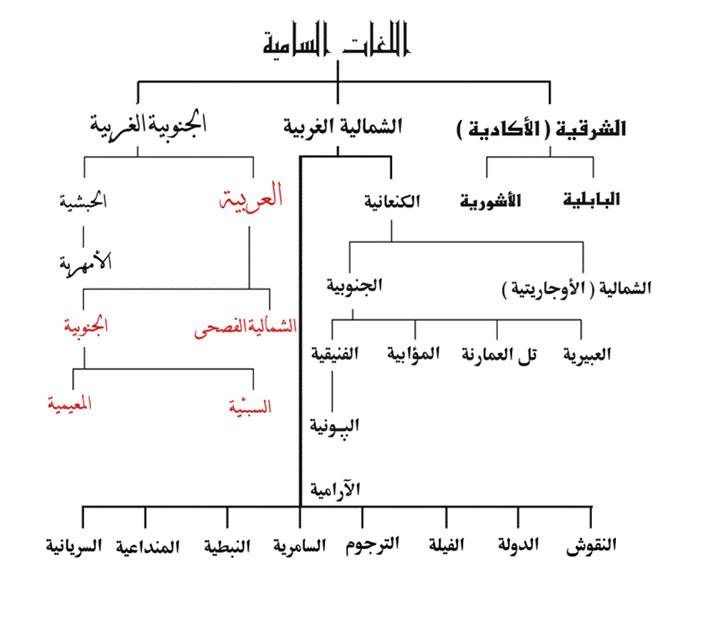 شجرة اللغات السامية