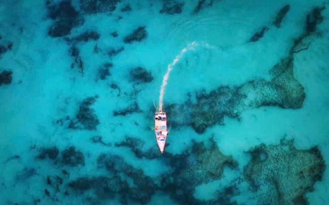 يظهر لنا في الصورة زرقة وصفاء ماءمحمية الحوف بعد الفجؤ مباشرةً 