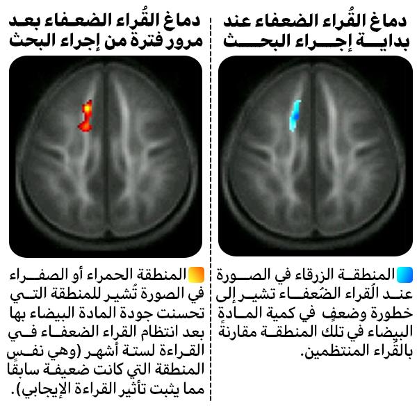 نتائج الدراسة - هل قراءة الروايات مضيعة للوقت