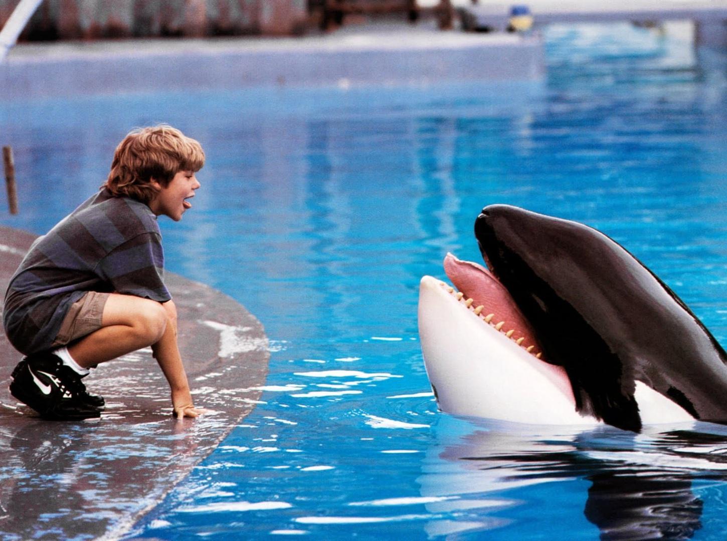 فيلم Free Willy