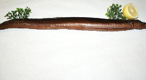 Geräuchter Aal