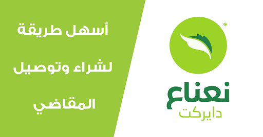 أفضل شركات عربية ناشئة 2020 في مجال التكنولوجيا - شركة نعناع