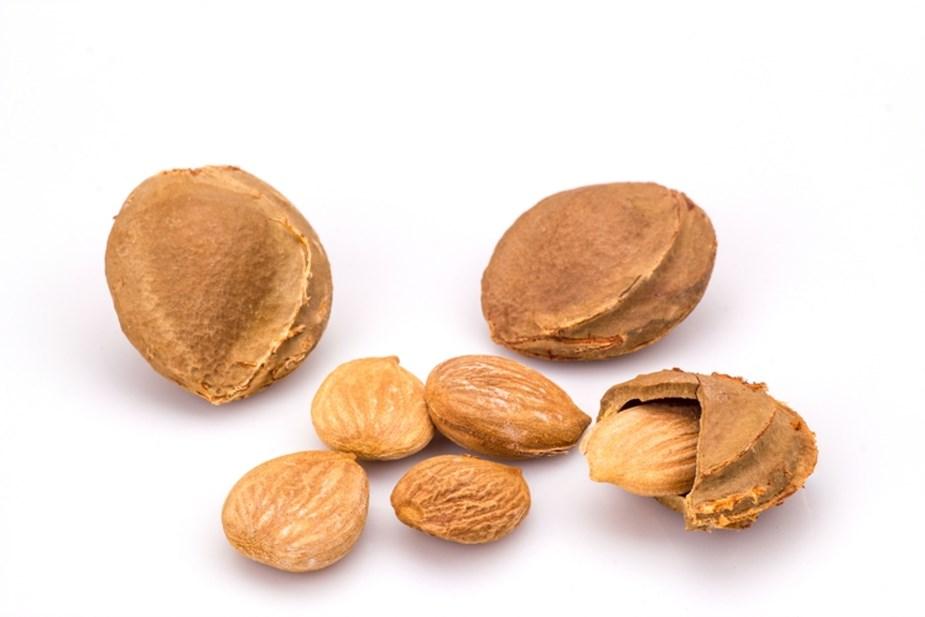 السيانيد في بذور المشمش