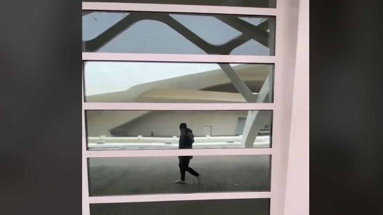 انعكاس صورة الناجي الوحيد في عام 2027