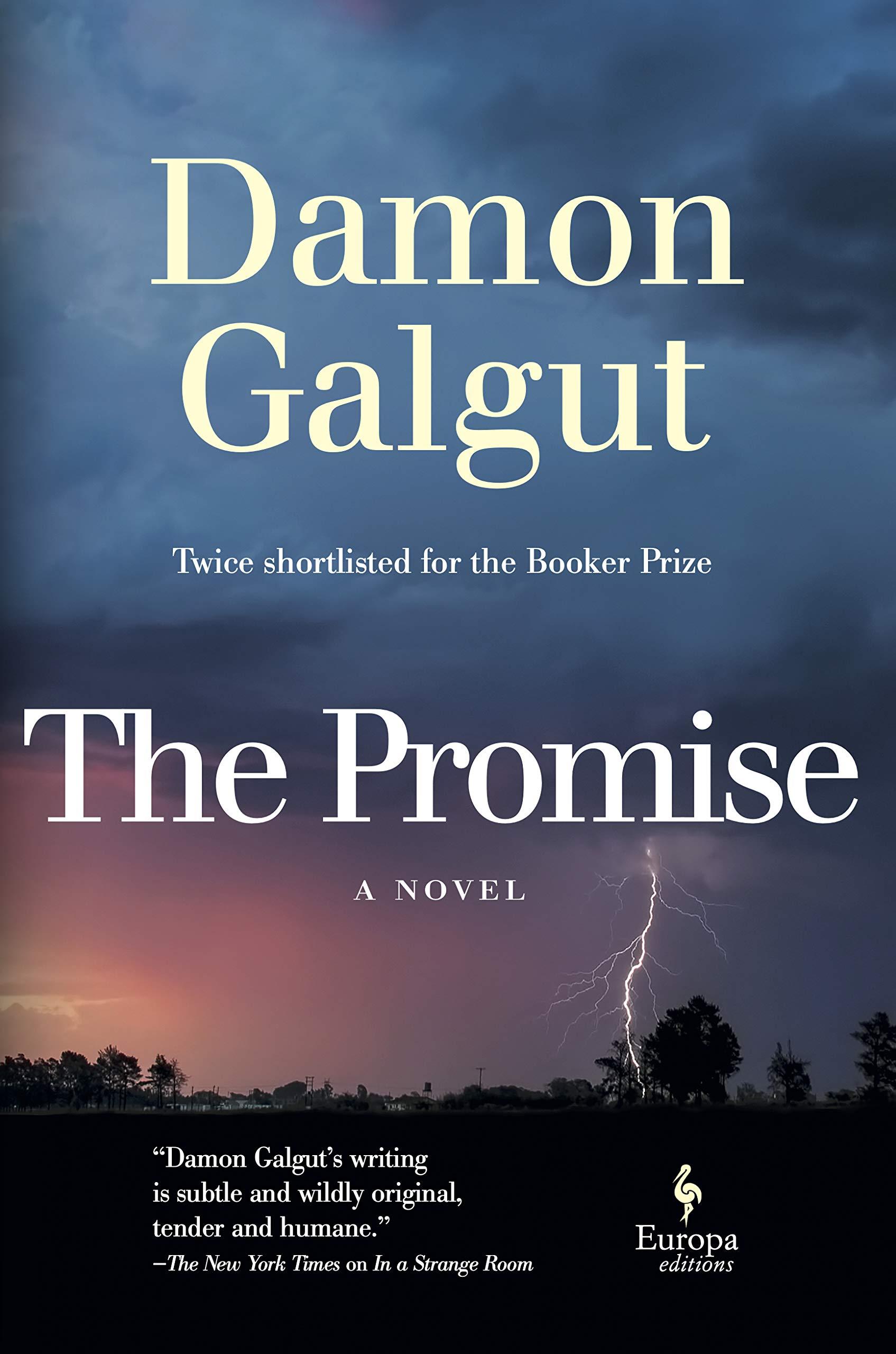 Damon Galgut - The Promise