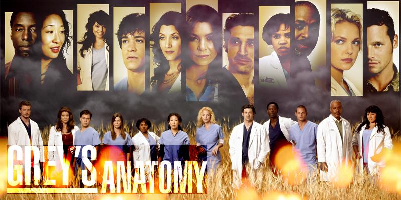 شوندا ريميس - مسلسل Grey's 