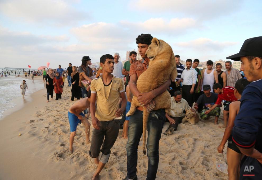 Associated Press 06