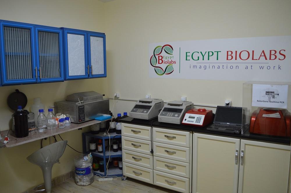 وحدة البيولوجيا الجزيئية في المعمل