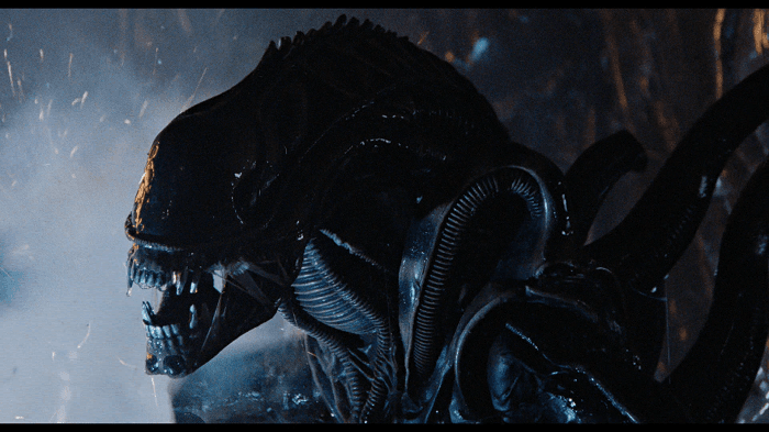 صورة فيلم Aliens 