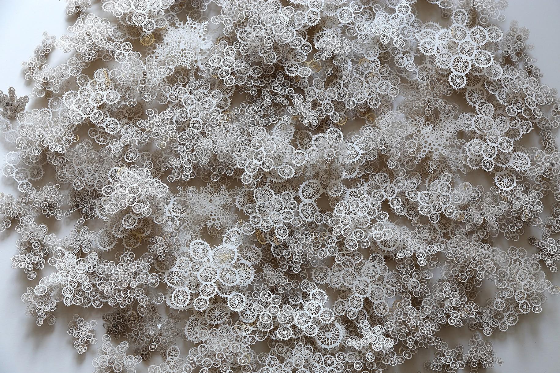 c9654eb2e9bc95fd3c592c4941ea3c5c