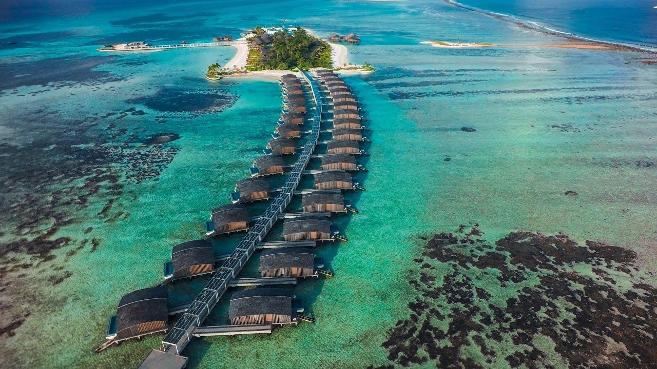 ÙØªÙØ¬Ø© Ø¨Ø­Ø« Ø§ÙØµÙØ± Ø¹Ù âªbali islandâ¬â
